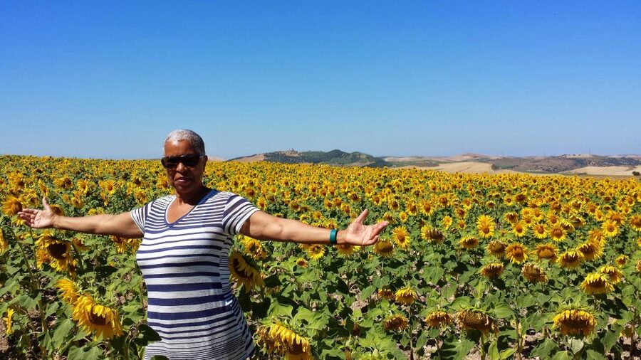 Private Day Trip to Ronda and Malaga from Seville - Leaving Seville from your hotel