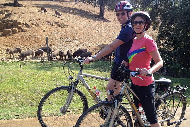 Private Ebike full day excursion to Sierra Norte Natural Park - From Seville to the Sierra Norte