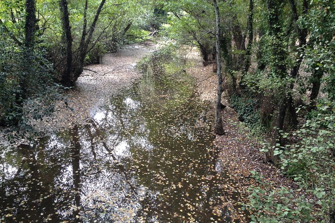 Private Ebike full day excursion to Sierra Norte Natural Park - Lunch and local products in San Nicolas del Puerto
