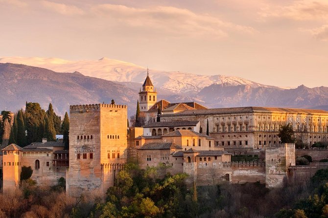 Private Granada Alhambra Tour from Seville - Who Will Get the Most from This Tour?