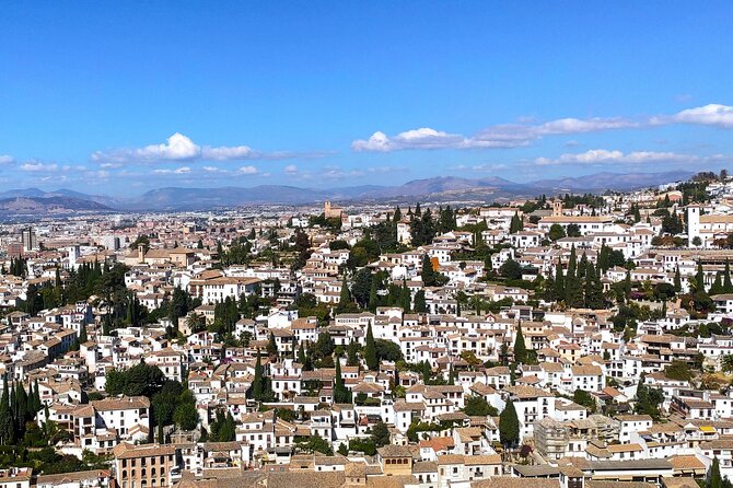 Private Granada Alhambra Tour from Seville - What the guide can add