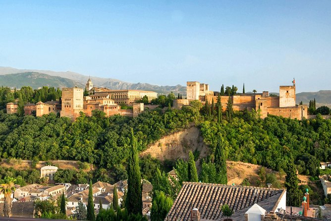 Private Granada Day Trip including Alhambra and Generalife from Seville - Who should book this Granada day trip?