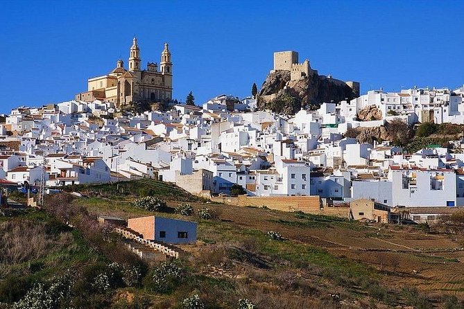 Private Guided Day Trip to the White Villages and Ronda from Seville - Why this makes sense from Seville