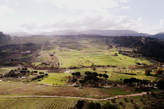 Private Guided Day Trip to the White Villages and Ronda from Seville - Arcos and the question of how much to see