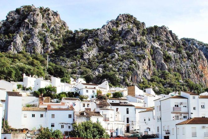 Private Guided Day Trip to the White Villages and Ronda from Seville - Who will get the most from this day