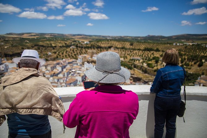 Private Guided Day Trip to the White Villages and Ronda from Seville - Setenil de las Bodegas and its rock roofs