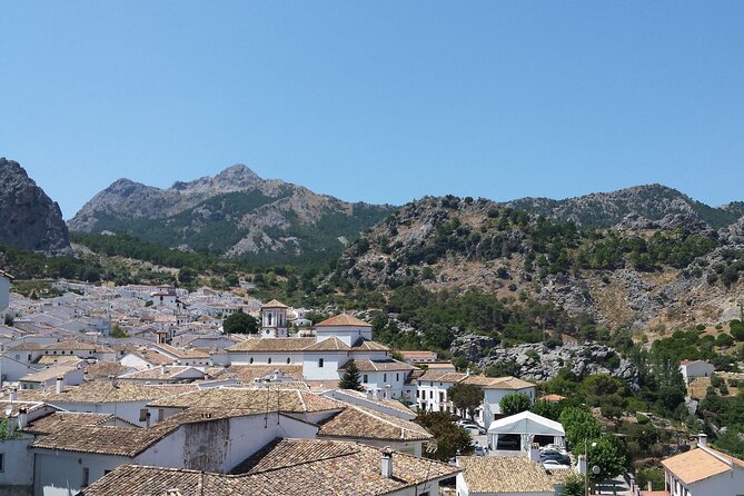 Private Guided Day Trip to the White Villages and Ronda - Grazalema, lunch, and a slower hour
