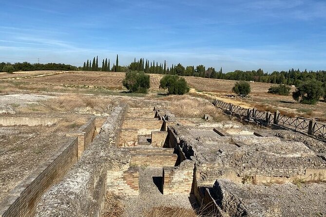 Private hald day tour to the historic roman city of Italica - Who will enjoy this most?