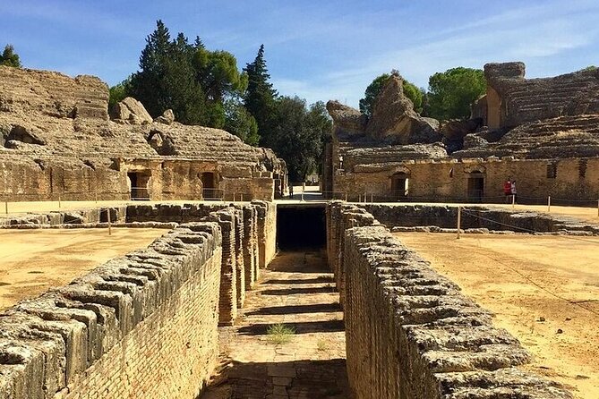 Private hald day tour to the historic roman city of Italica - Mosaics and the smaller details