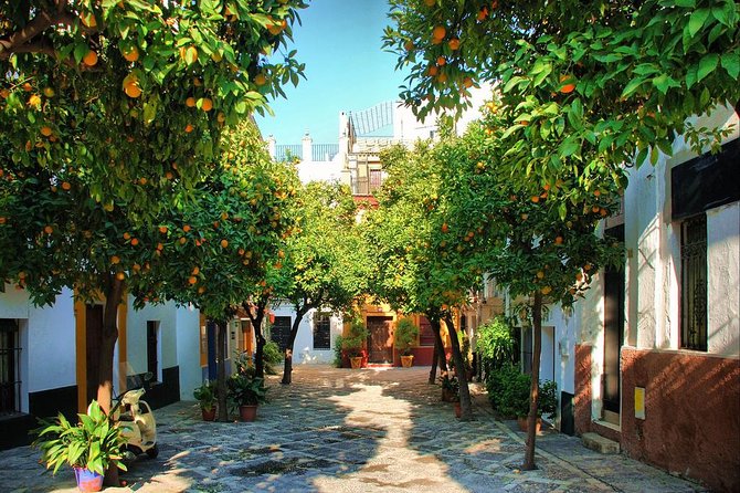 Private Sevilla Tour for families with children and teens... - Best time of day and family fit