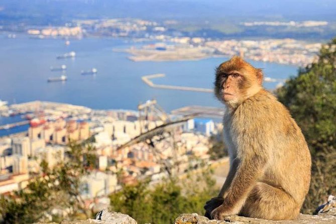 Private tour and shore excusion of Gibraltar from Cadiz - Timing the excursion around a cruise