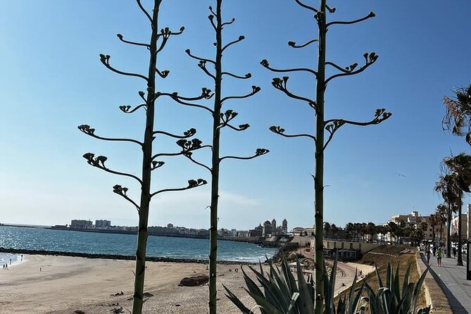 Private tour Cadiz: the city of light - Key points at a glance