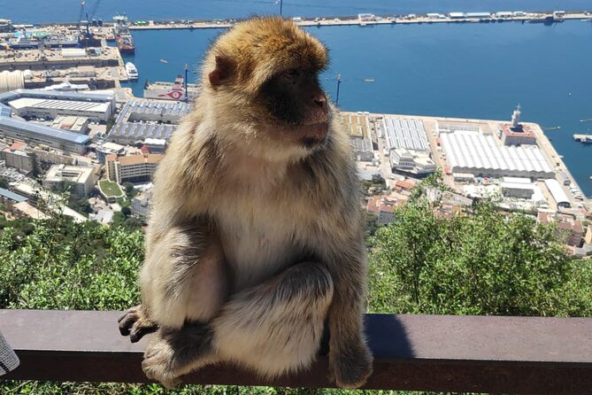 Private Tour: Day through Gibraltar and Morocco, Tangier from Seville - Cape Spartel, sea views, and Hercules Cave