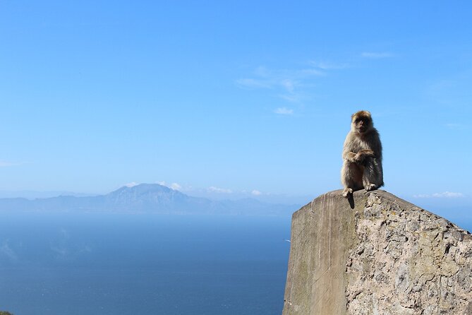 Private Tour: Day through Gibraltar and Morocco, Tangier from Seville - Why the private format matters