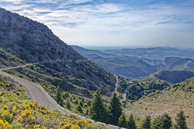Private Tour from Seville to Setenil and Zahara and Ronda - Food, timing, and the shape of the day
