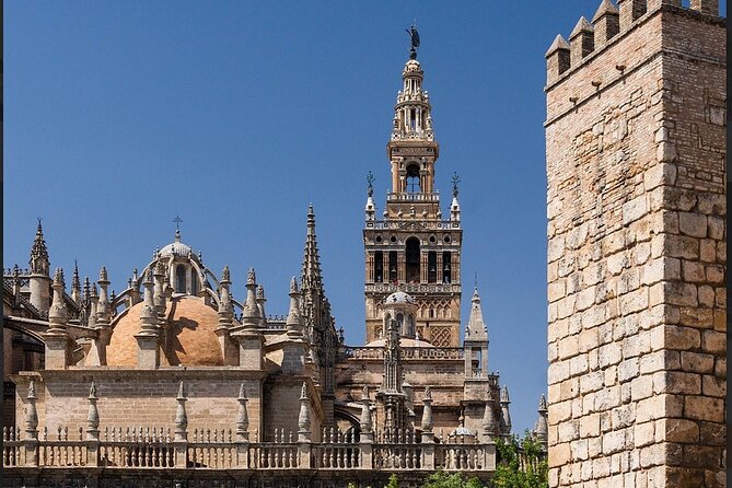 Private Tour of the Cathedral and Giralda of Seville - The service issue you should plan around