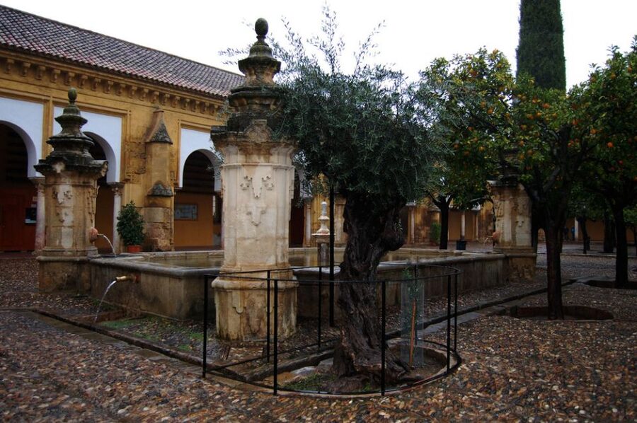Private Tour of the Mosque-Cathedral and Jewish Quarter - Key points at a glance