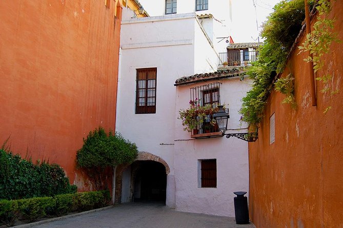 Private tour One day in Seville - Santa Cruz, where the tour slows down