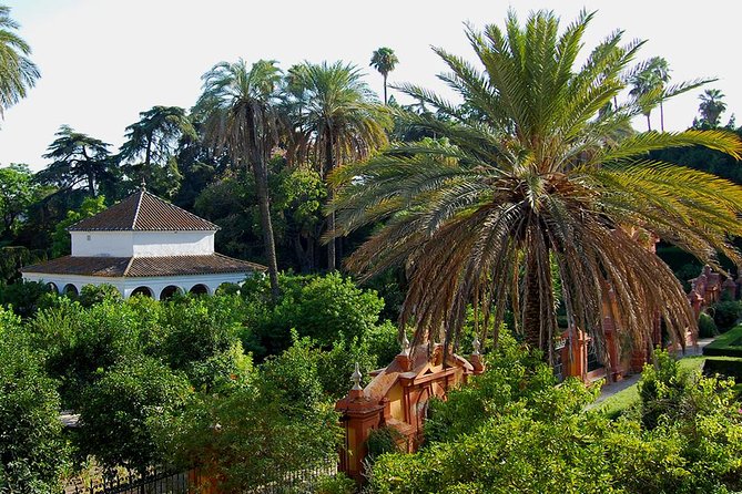 Private tour One day in Seville - What Ricardo adds to the experience