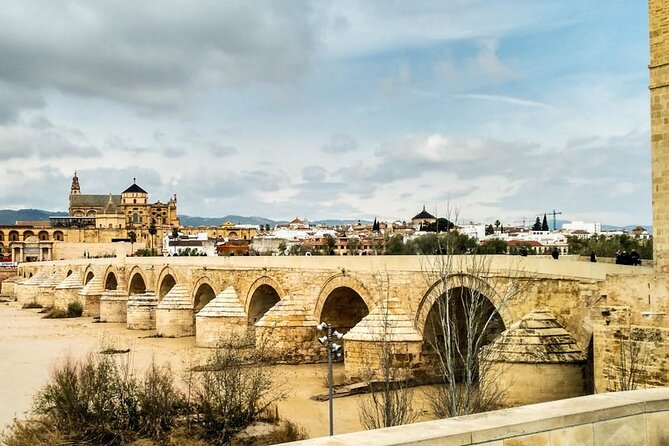 Private tour to Cordoba from Seville (several options) - Key points at a glance