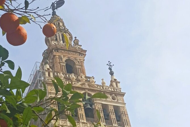Private Tour with Local Guide to know the Seville Essential - Why this route works for a first look at Seville