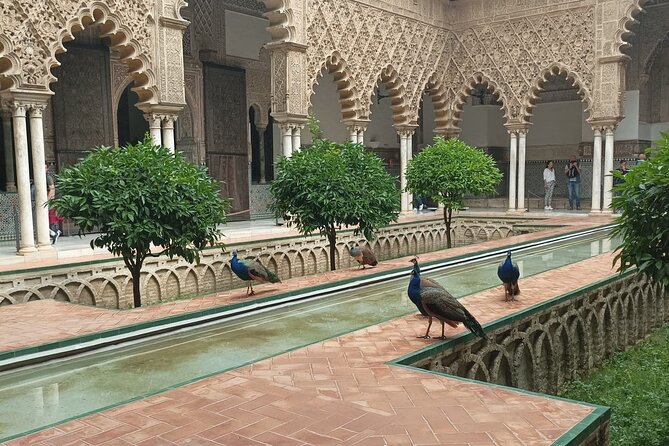 Private Tour with Local Guide to know the Seville Essential - Santa Cruz, where the city’s history gets personal