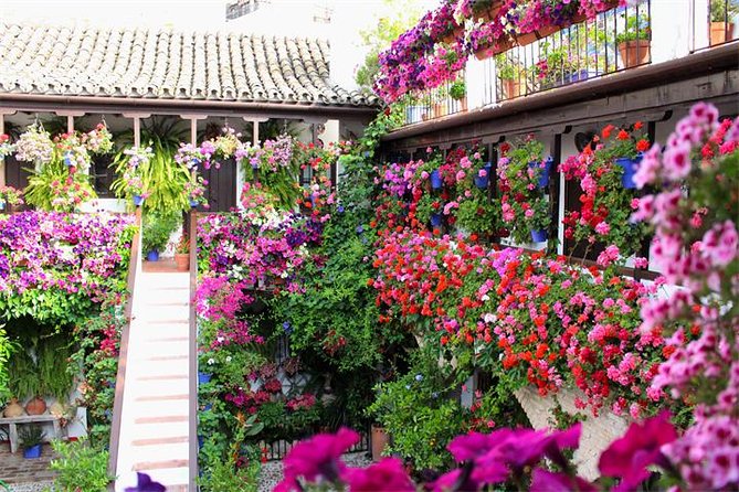 Private tourist route in Córdoba - The Roman Bridge and Córdoba’s riverfront