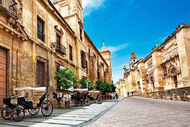 Private tourist route in Córdoba - The Alcázar, Viana Palace, and smaller stops