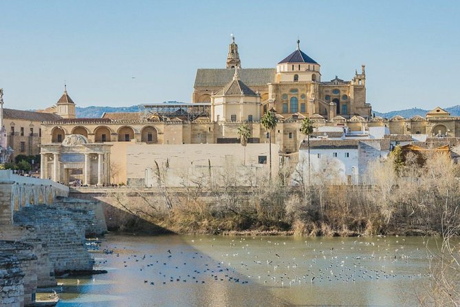 Private Transfer Seville to Granada with a Tour of Cordoba/Mosque - What the driver adds to the day