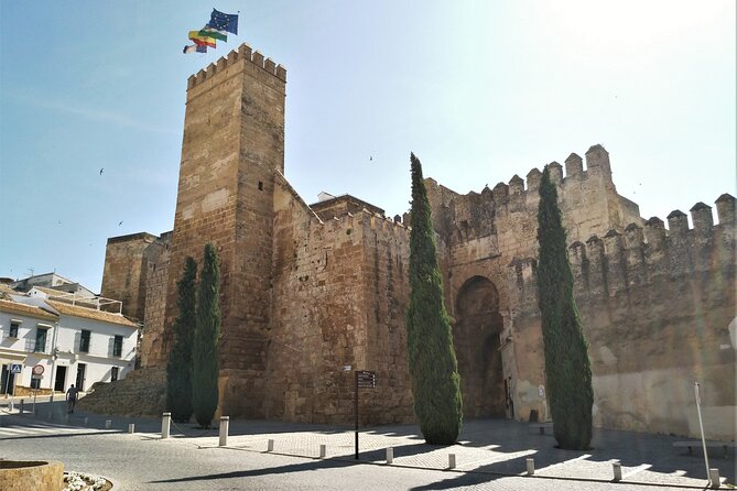 Private trip to Carmona from Seville: 5000 years of history - Lunch in Plaza San Fernando