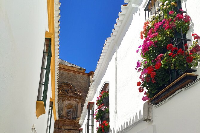 Private trip to Carmona from Seville: 5000 years of history - A private tour with a conversational pace
