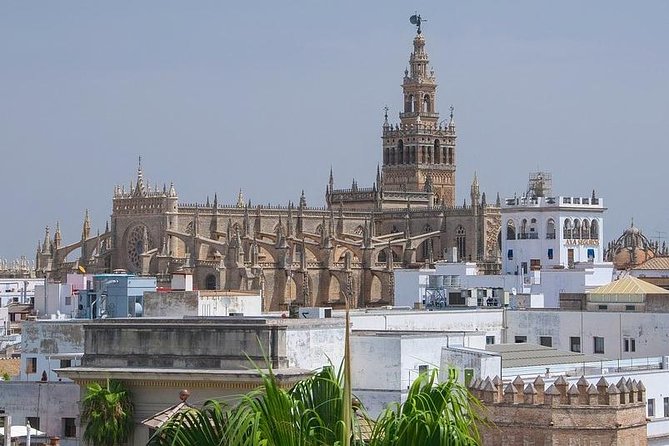 Private visit Cathedral and Royal Alcazares of Seville - Starting at Plaza del Triunfo