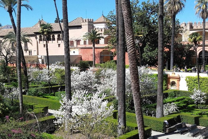 Private visit Cathedral and Royal Alcazares of Seville - The Royal Alcazar, from Mudejar rooms to royal gardens