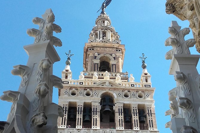 Private visit Cathedral and Royal Alcazares of Seville - What Clara brings to the experience