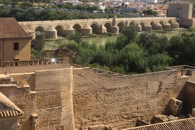 Private Visit Mosque-Cathedral, Jewish quarter, Alcazar and Synagogue - Who will get the most from this Córdoba tour
