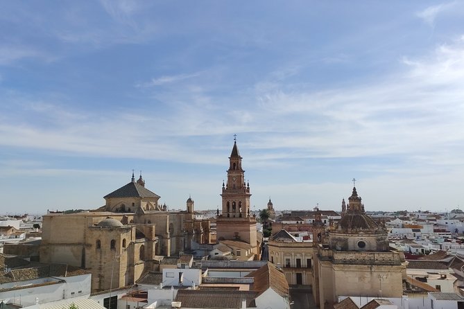 Private visit to Carmona and its main monuments - Reading Carmona through Plaza San Fernando