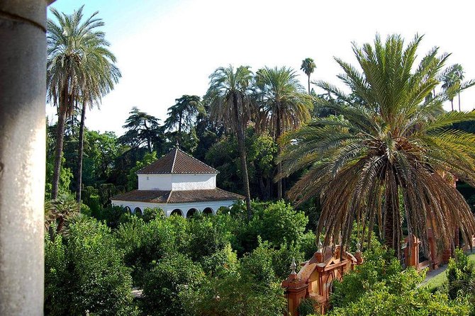 Private visit to the Alcazar and the Cathedral of Seville - What Ricardo adds to the visit