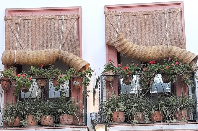 Private visit to the Jewish Quarter of Seville (Sta. Cruz and San Bartolomé Neighborhoods) - Clara’s guiding style and the benefit of a private group