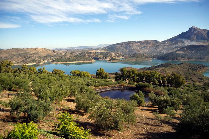 Private White Villages & Ronda Day Tour from Seville - From Seville fields to the Sierra de Grazalema