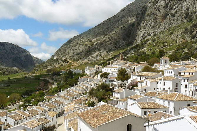 Private White Villages & Ronda Day Tour from Seville - Ronda and the Puente Nuevo