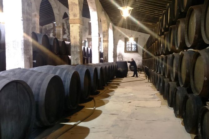 Private wine tour to Jerez de la Frontera - Why Jerez makes a worthwhile day from Seville