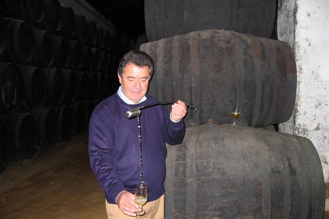 Private wine tour to Jerez de la Frontera - The drive from Seville with Roger