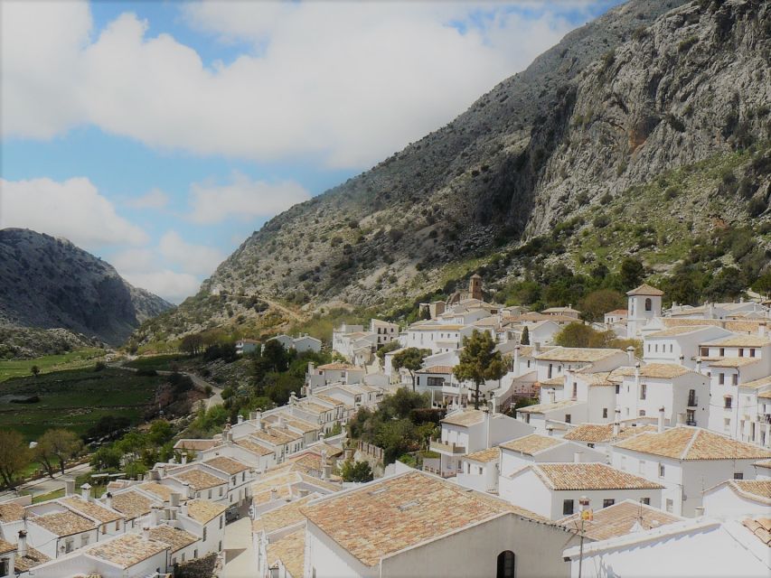 Pueblos Blancos & Ronda: Private Full-Day Tour from Seville - Five things to know before booking