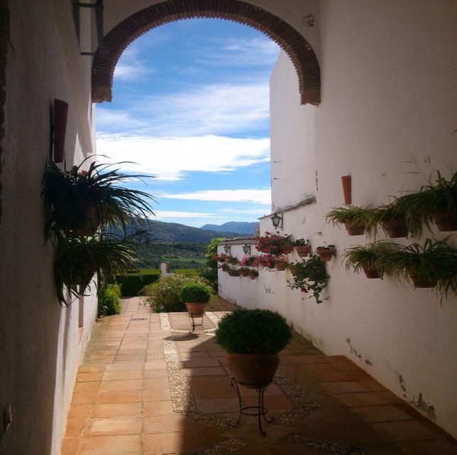 Pueblos Blancos & Ronda: Private Full-Day Tour from Seville - Choosing Grazalema or requesting Setenil