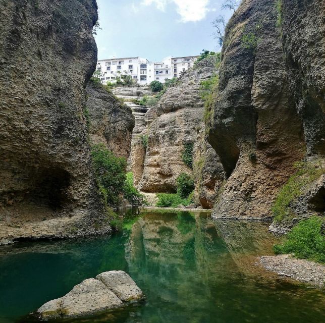Pueblos Blancos & Ronda: Private Full-Day Tour from Seville - Timing, comfort, and useful preparation