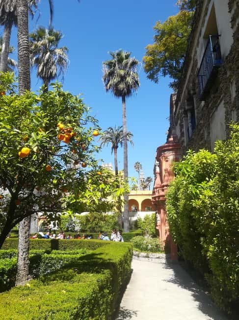 Real Alcázar of Seville Skip-the-Line Private Tour - Fifteen minutes in the Alcázar gardens