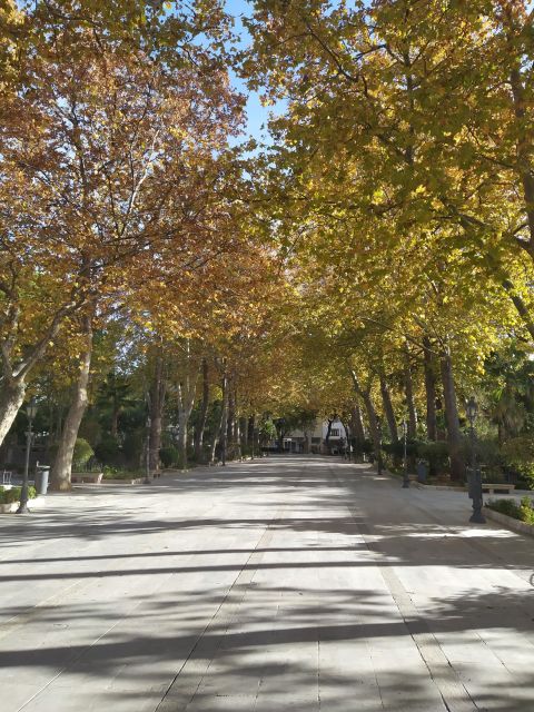 Ronda: 2-Hour Private Walking Tour - Alameda del Tajo and the bullfighting story