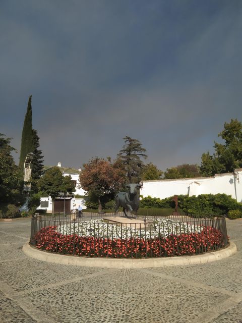 Ronda: 2-Hour Private Walking Tour - Mondragón Palace and the town’s civic story