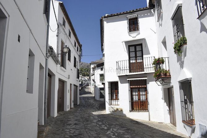 Ronda and White Villages Guided Day Tour from Seville - Grazalema and the white-village setting