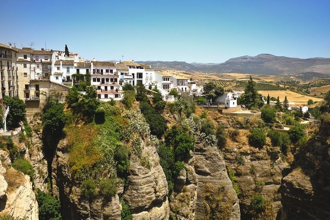Ronda and White Villages Guided Tour from Seville - What the olive oil mill adds